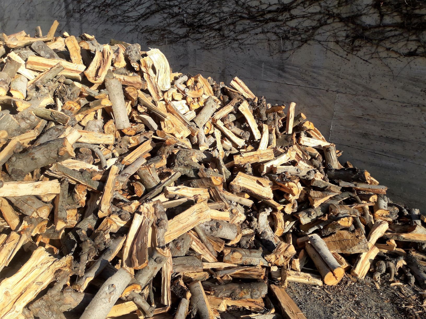 Holz_1nn